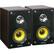 Front Large. Technical Pro - Speaker System - Black, Mahogany.