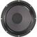 Front Large. Eminence - Patriort 12.23" Speaker.