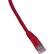 Front Standard. GoldX - DataPlus Cat.6 UTP Patch Cable - Red.
