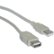 Front Standard. CableWholesale - USB Extension Cable - Beige.