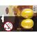 Front Standard. Stagg Music - Egg Shaker - Yellow.