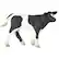 Front Large. Safari - Farm Holstein Calf.