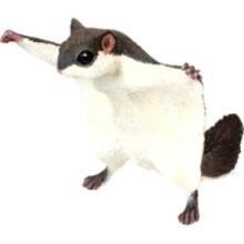 Front Large. Safari - Incredible Creatures Flying Squirrel.