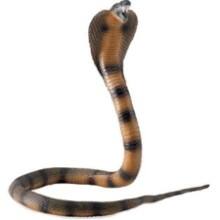Front Large. Safari - Incredible Creatures Posable Coiling Cobra.