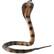 Front Large. Safari - Incredible Creatures Posable Coiling Cobra.