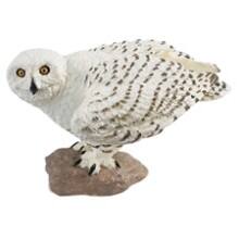 Front Large. Safari - Wings of the World Snowy Owl.