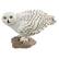Front Large. Safari - Wings of the World Snowy Owl.