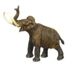 Front Large. Safari - Wild Dinos & Prehistoric Life Woolly Mammoth.