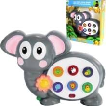 Front Large. The Learning Journey - Early Learning - Safari Sam.