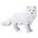 Front Large. Safari - Wild North American Wildlife Arctic Fox.