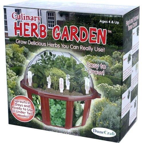 Front Standard. DuneCraft - Culinary Herb Garden.