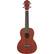 Front Standard. Ibanez - Ukulele - Natural.