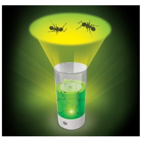 Front Standard. Ant Farm - Ant Farm Revolution: Ceiling Projector.