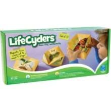 Front Large. Educational Insights - LifeCyclers Butterfly, Frog and Plant.