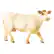 Front Large. Safari - Farm Charolais Cow.