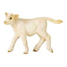 Front Large. Safari - Farm Charolais Calf.