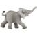 Front Large. Safari - Wild Wildlife African Elephant Baby.