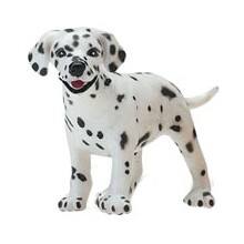 Front Large. Safari - Best in Show Dalmatian Puppy.