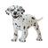 Front Large. Safari - Best in Show Dalmatian Puppy.