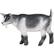 Front Large. Safari - Farm Pygmy Nanny Goat.