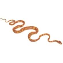 Front Large. Safari - Incredible Creatures Amazon Tree Boa.