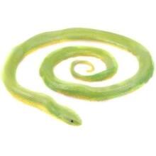 Front Large. Safari - Incredible Creatures Rough Snake - Green.
