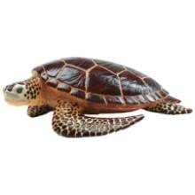 Front Large. Safari - Incredible Creatures Sea Turtle.