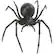 Front Large. Safari - Hidden Kingdom Insects Black Widow Spider.