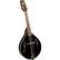 Front Standard. Saga - Kentucky Standard A-Model Mandolin - Black.