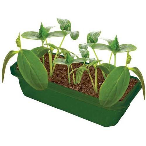 Front Standard. DuneCraft - Sprout 'n Grow Greenhouse - Grow Your Own Cucumbers.