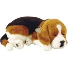 Front Large. Perfect Petzzz - Beagle Soft Toy.