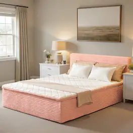 Ovios - Queen 16" Plush Mattress with Memory Form in a Box, Detachable Headboard Included - Pink