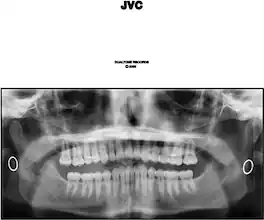 Jack Van Cleaf - Jvc - VINYL LP