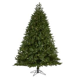 BreeBe - 7' Oregon Spruce Xmas Tree with 850 IC/MD/MF LED 1796 Tips - Green