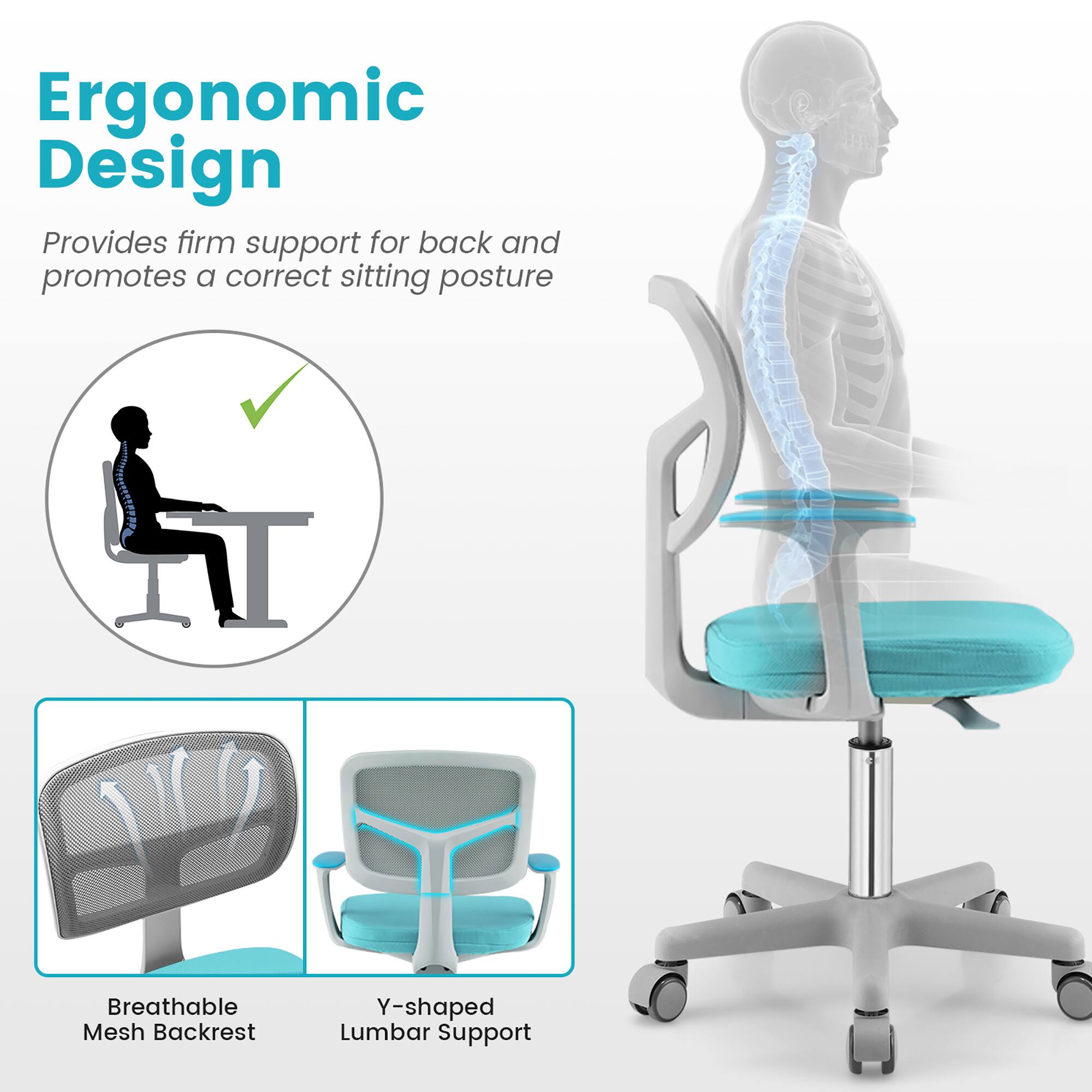 Ergonomic Design  
Provides firm support for back and promotes a correct sitting posture  

Breathable Mesh Backrest  
Y-shaped Lumbar Support