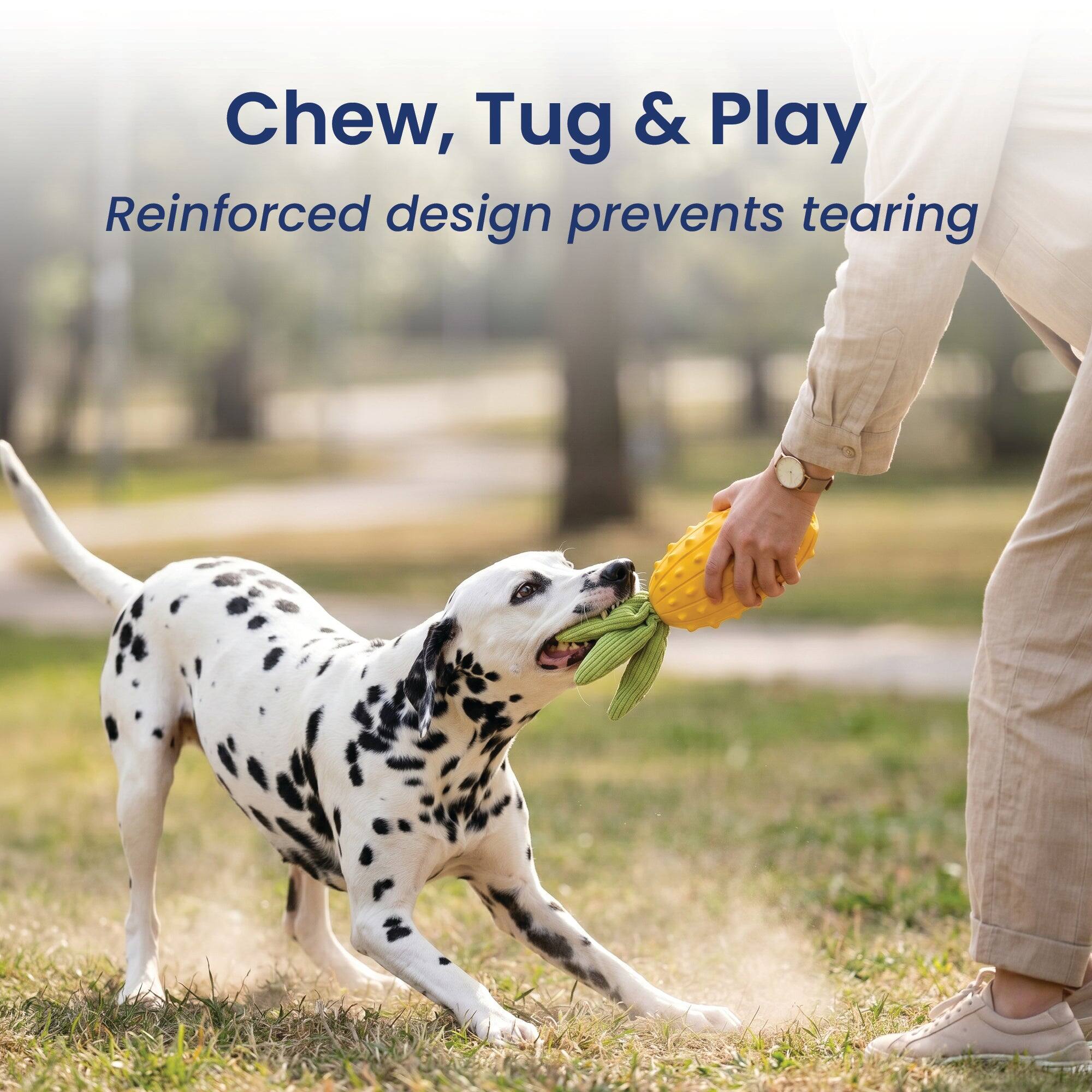 Chew, Tug & Play  
Reinforced design prevents tearing