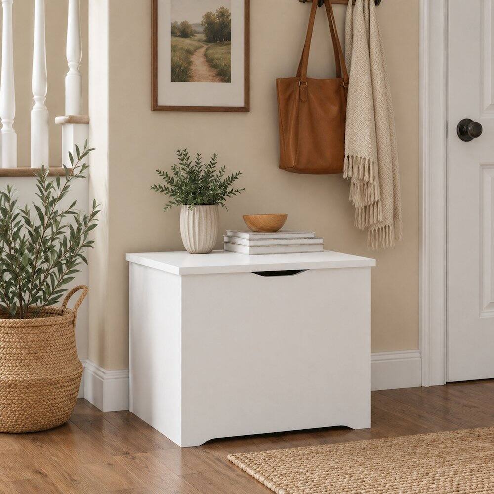 Angle. Furinno - BASIC Storage Chest, Storage Bench with Safety Hinged Soft Closed Lid, Storage Box, 15.6 x 23.6 x 18 - White.