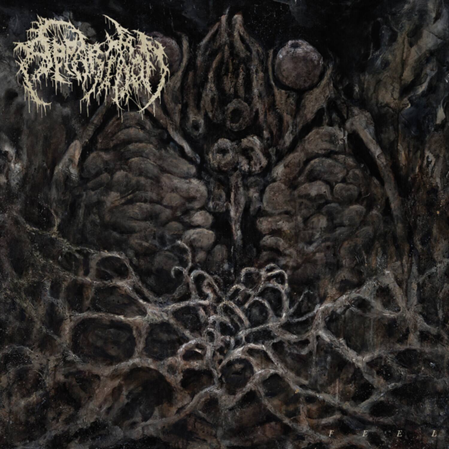 Front. Apparition - Feel   - COMPACT DISCS.