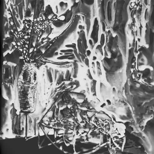Demons - Evocation   - COMPACT DISCS [CD] price history on PriceWatchPro