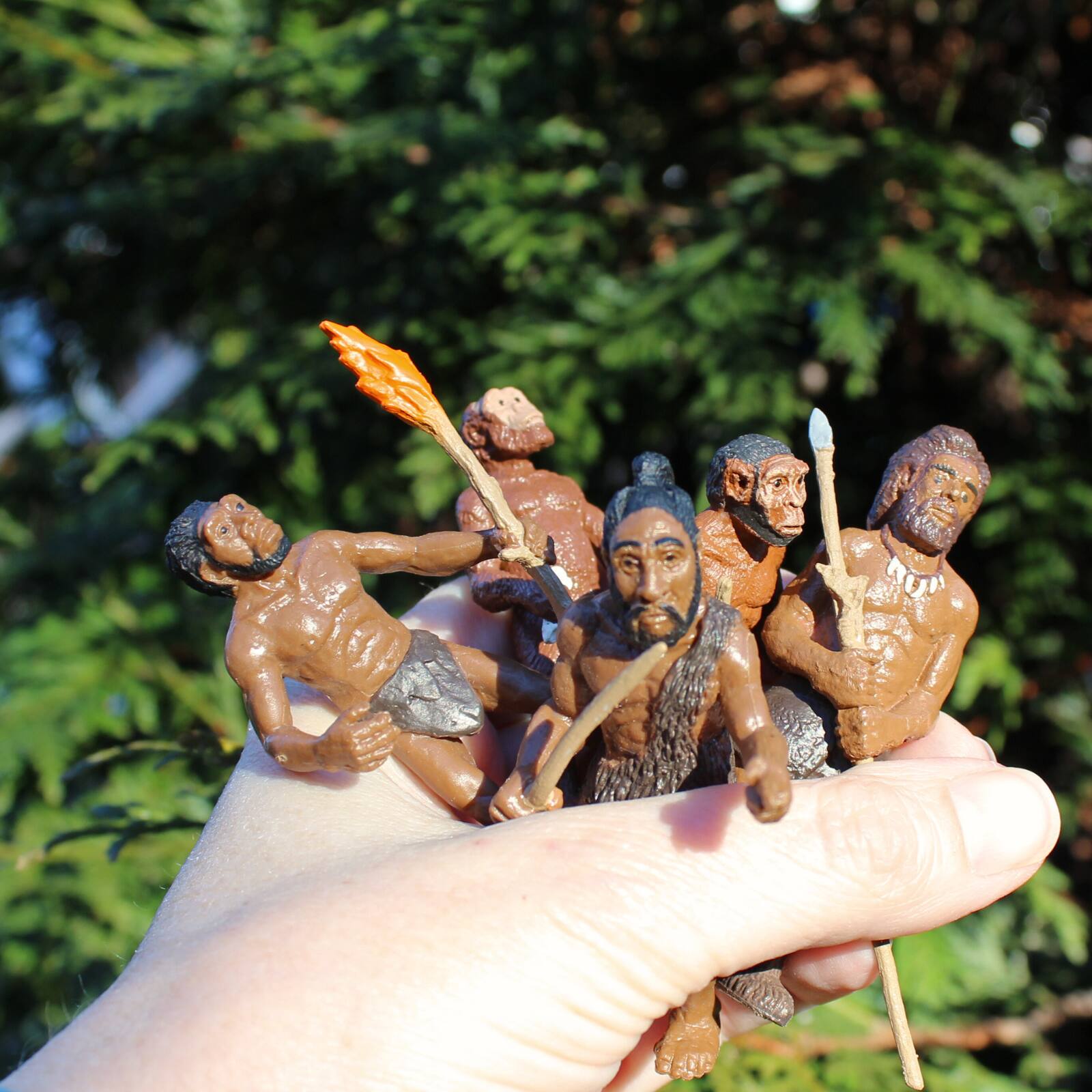 Alt View 2. Safari Ltd. - Evolution Of Man Toy.