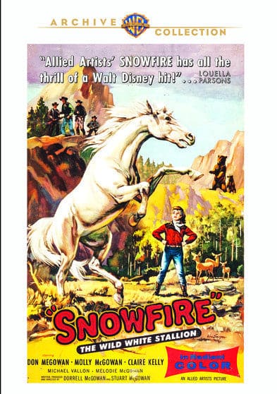 Snowfire - DVD