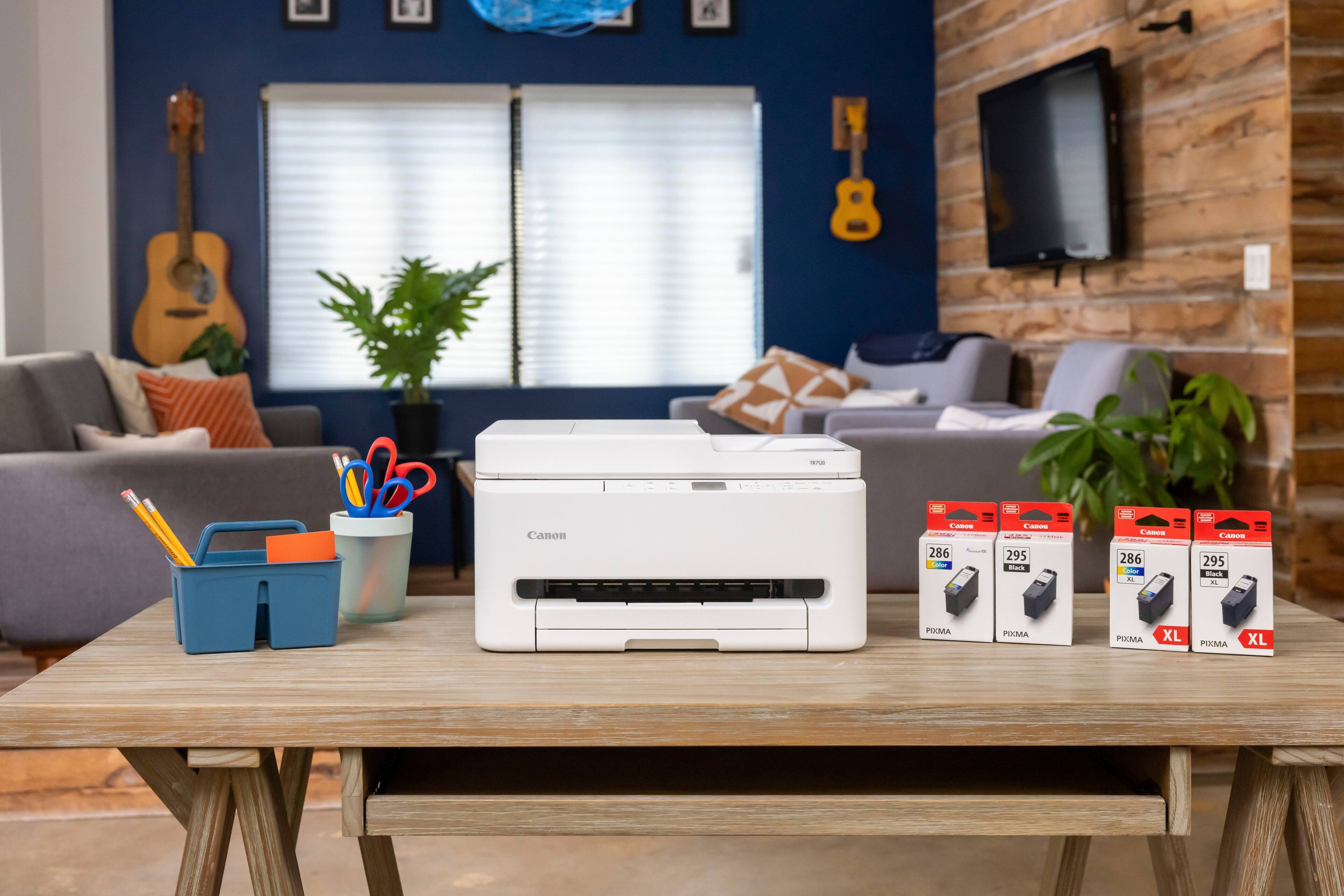 Canon:  
- 286 Color  
- 295 Black  
- 286 Color XL  
- 295 Black XL  

Canon PIXMA