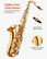 Stable Tone
Clear Sound
Electroplated Craftsmanship
Smooth Response
ABS Mouthpiece
Stable Tone Quality
Special Brass Construction
Natural Resonance