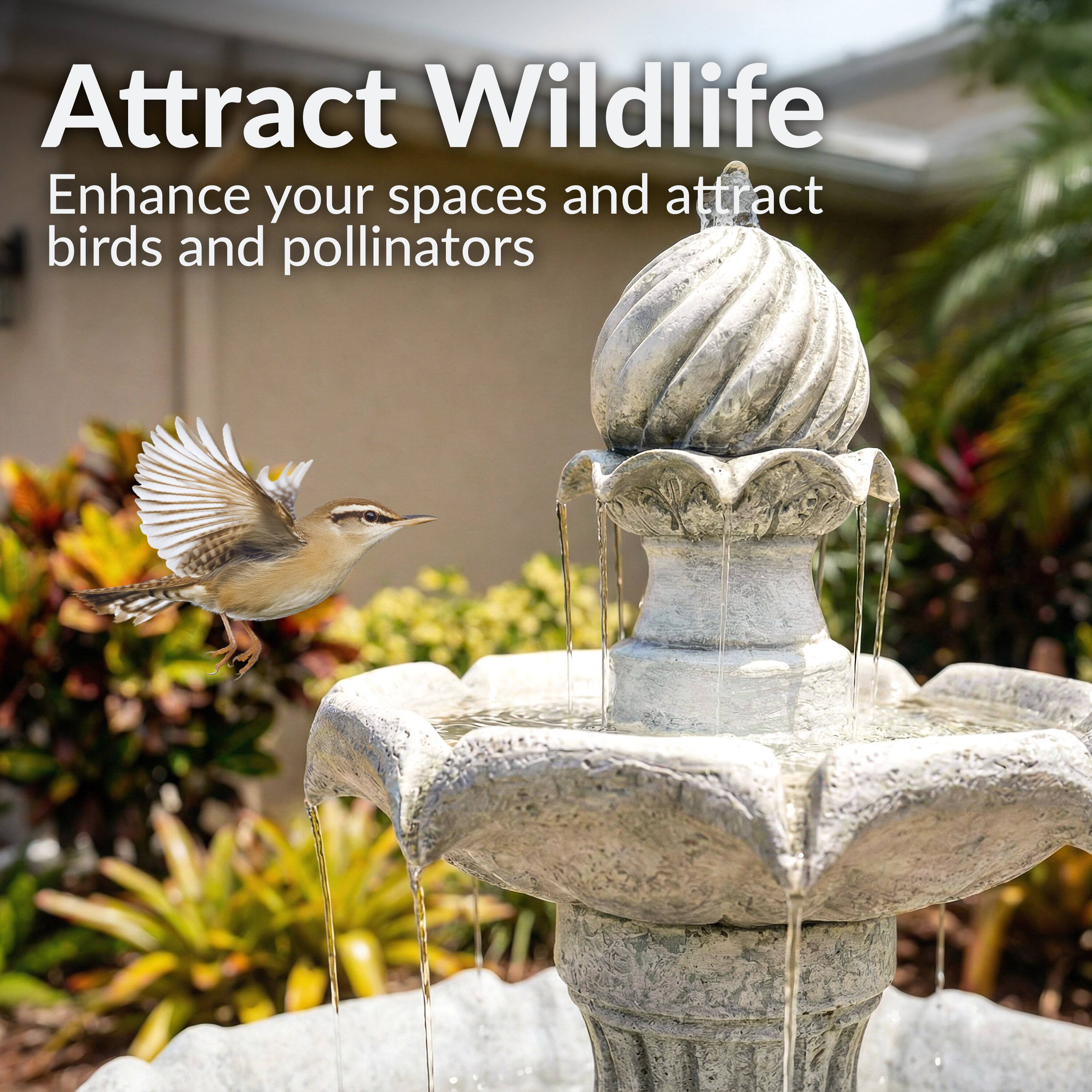 Attract Wildlife  
Enhance your spaces and attract birds and pollinators