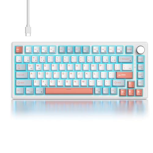 Salmon/White Switch