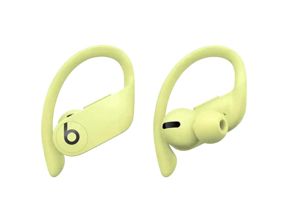 Apple Powerbeats Pro Totally Wireless Earphones | Color