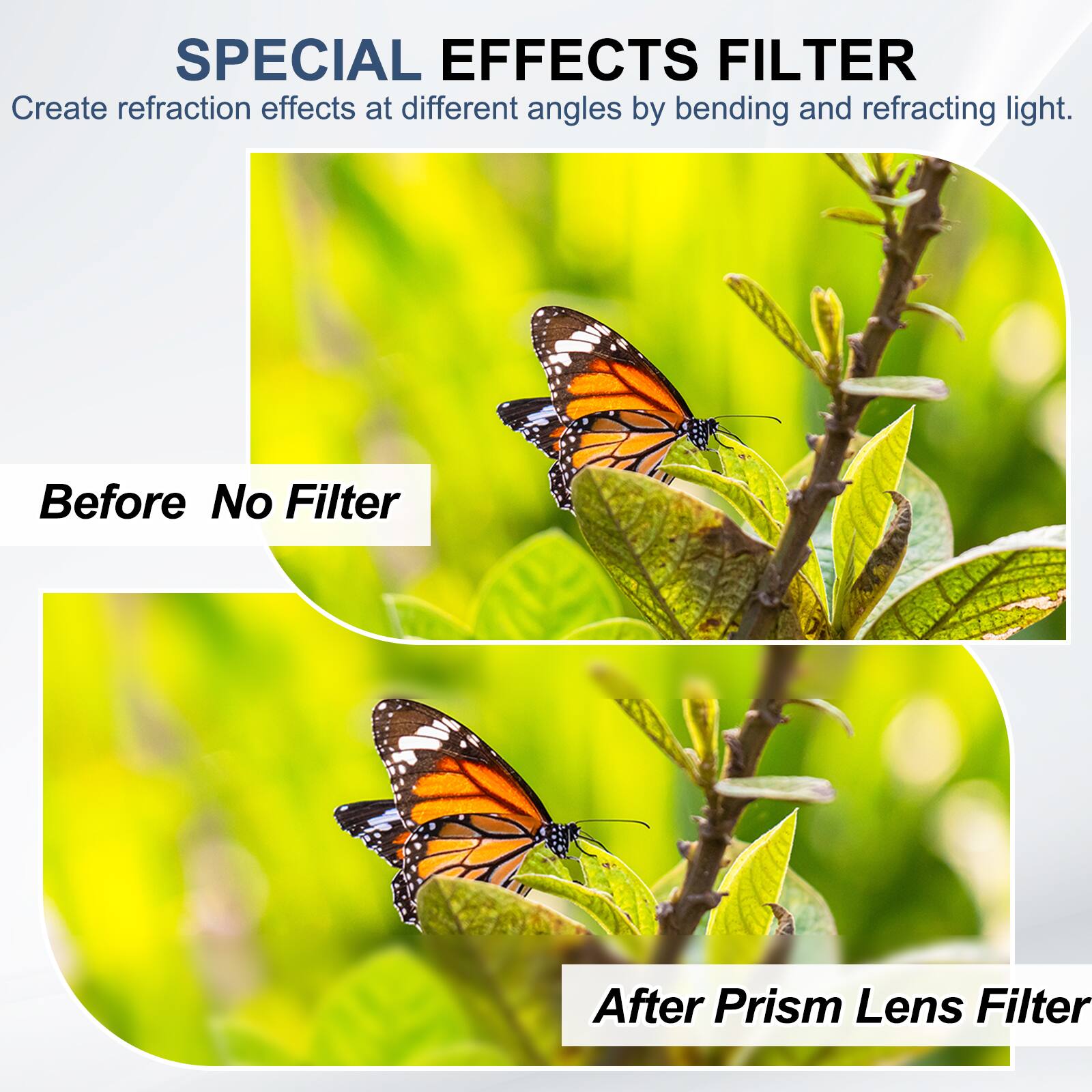 SPECIAL EFFECTS FILTER  
Create refraction effects at different angles by bending and refracting light.

Before No Filter

After Prism Lens Filter