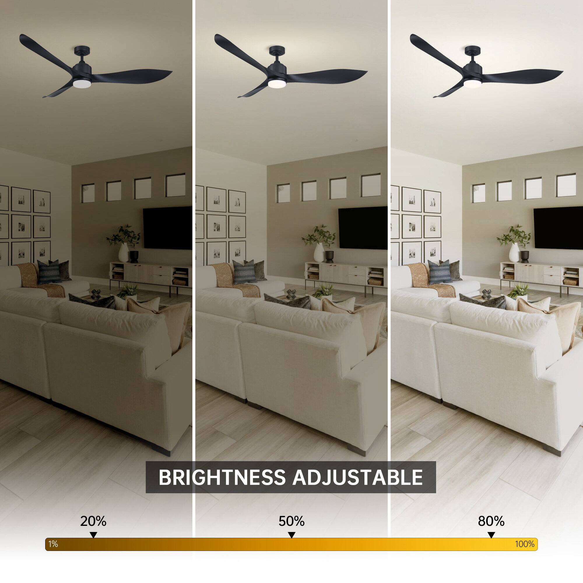 BRIGHTNESS ADJUSTABLE

20% 50% 80% 100%