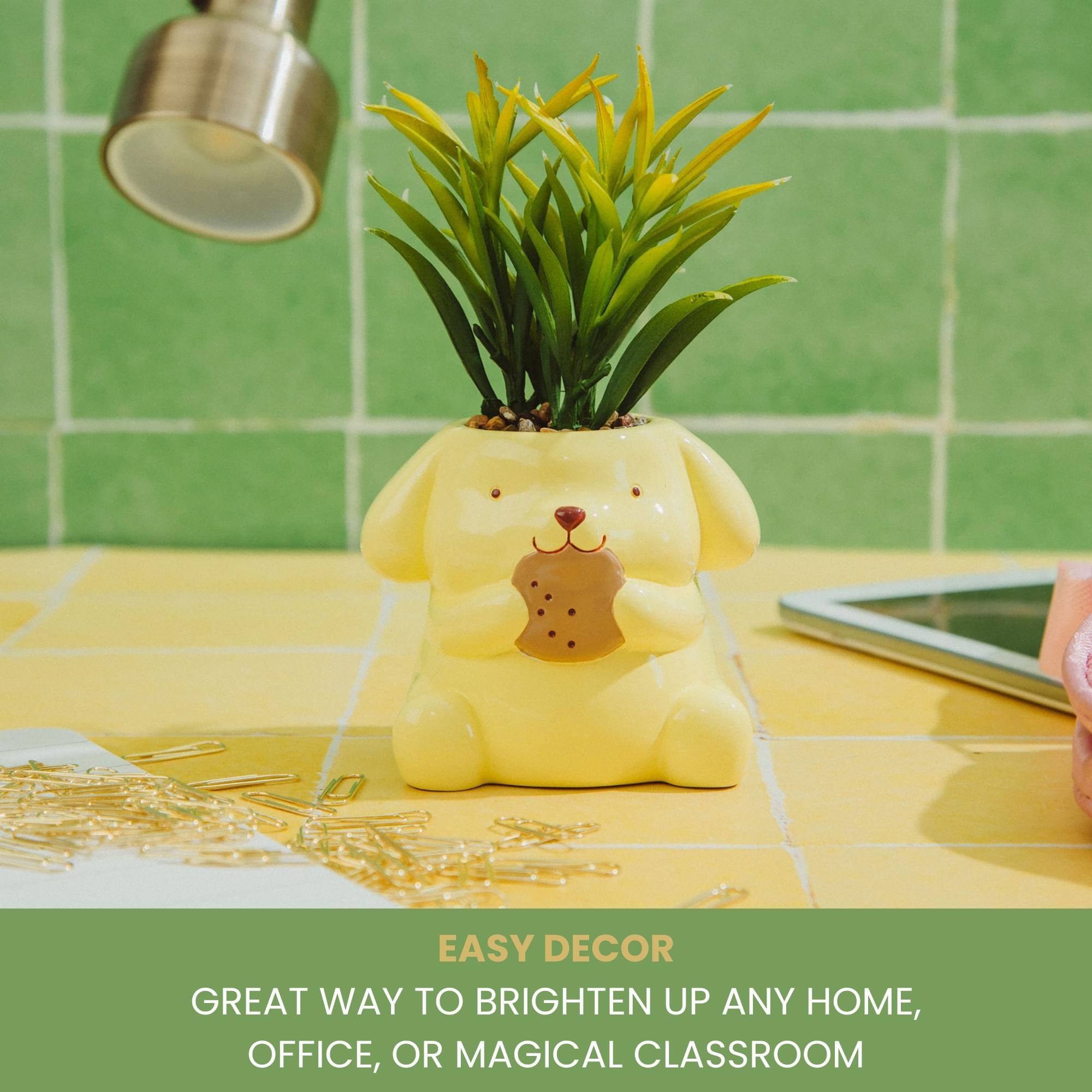 EASY DECOR  
GREAT WAY TO BRIGHTEN UP ANY HOME, OFFICE, OR MAGICAL CLASSROOM