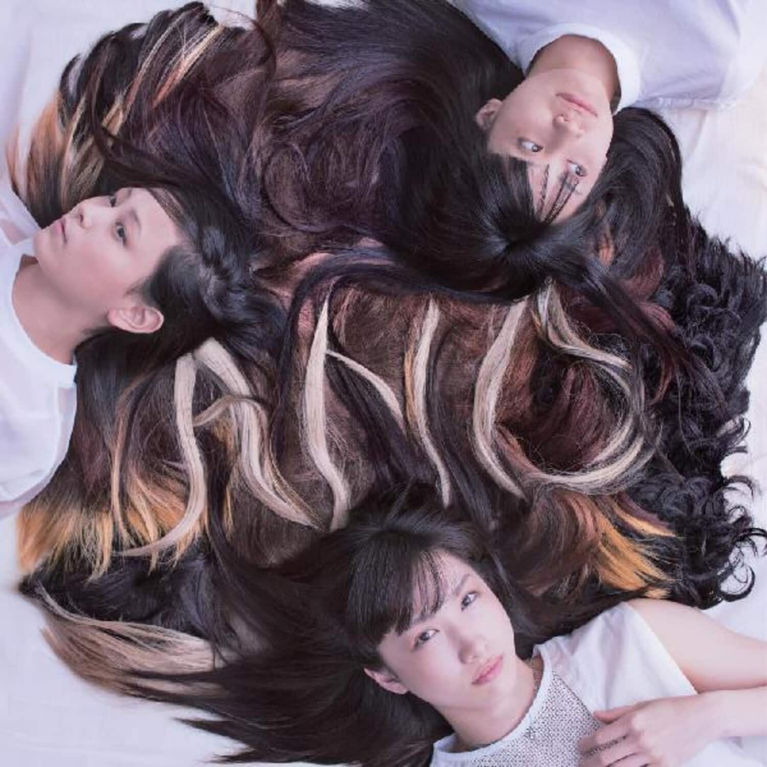 Tricot - A N D   - VINYL LP price history on PriceWatchPro